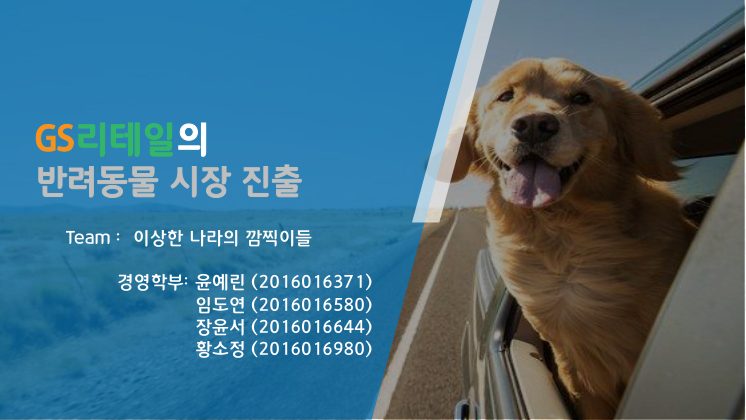 9) [반려동물] 이상한나라의 깜찍이들 첫 페이지