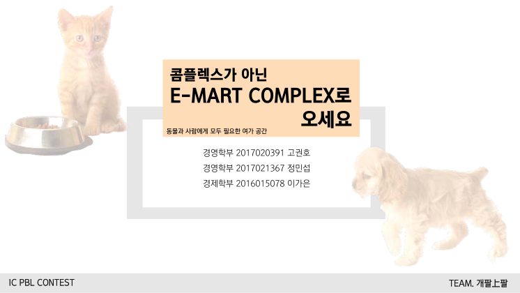 2) [반려동물] 개팔상팔 첫 페이지